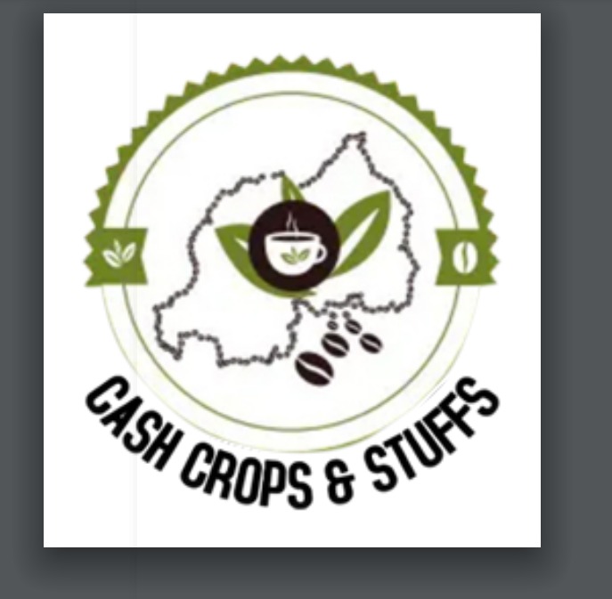 ccs logo